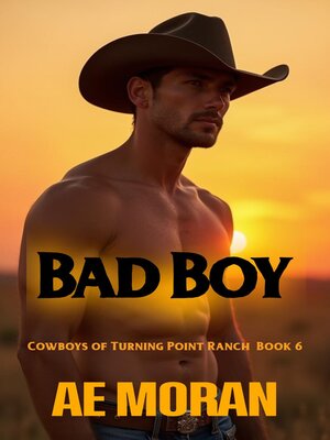 cover image of Bad Boy